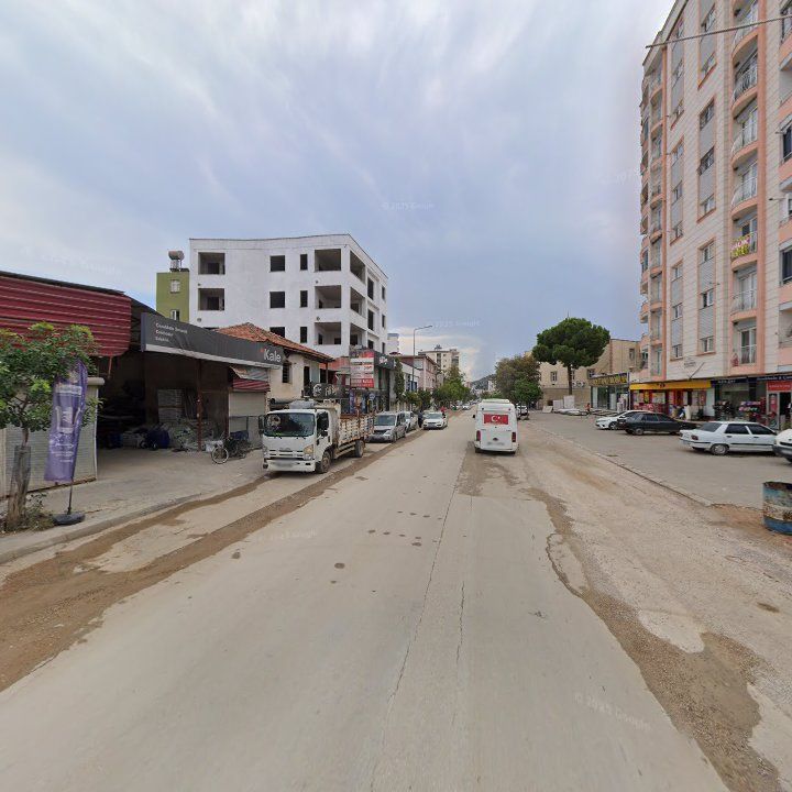 Fotoğraf 7