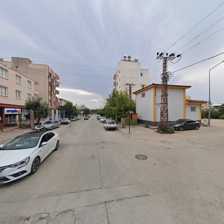 Fotoğraf 6