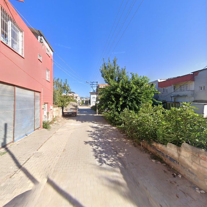 Fotoğraf 6