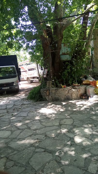 Yorum fotoğrafı 4