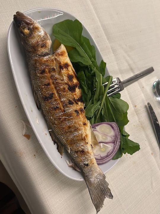 Fotoğraf 23