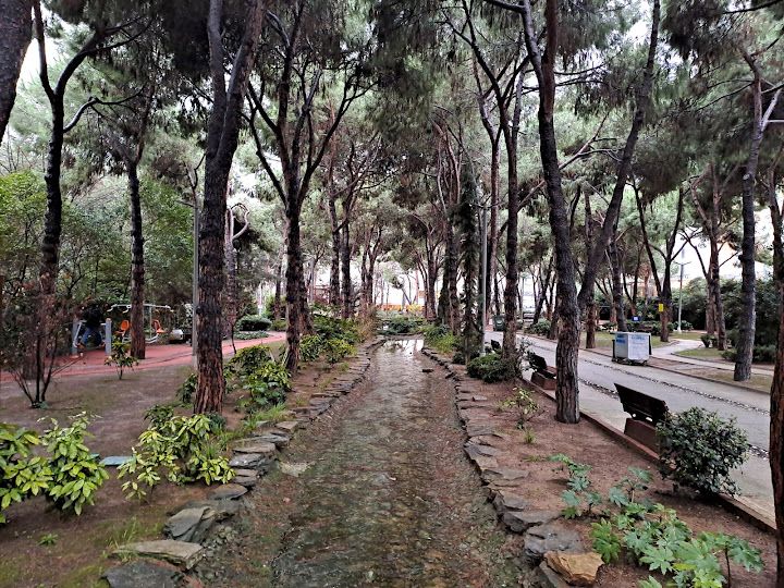 Fotoğraf 22
