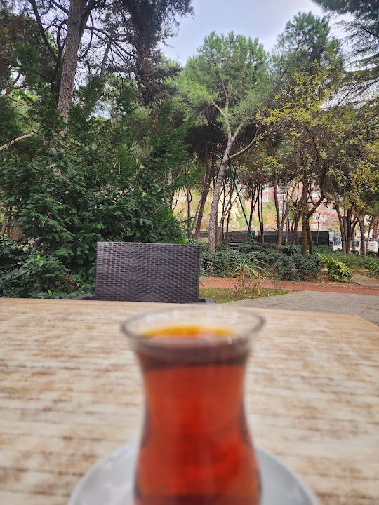 Fotoğraf 19