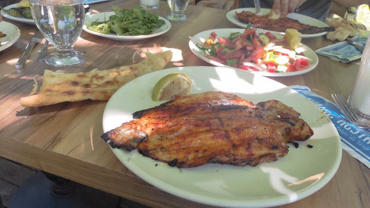 Fotoğraf 49