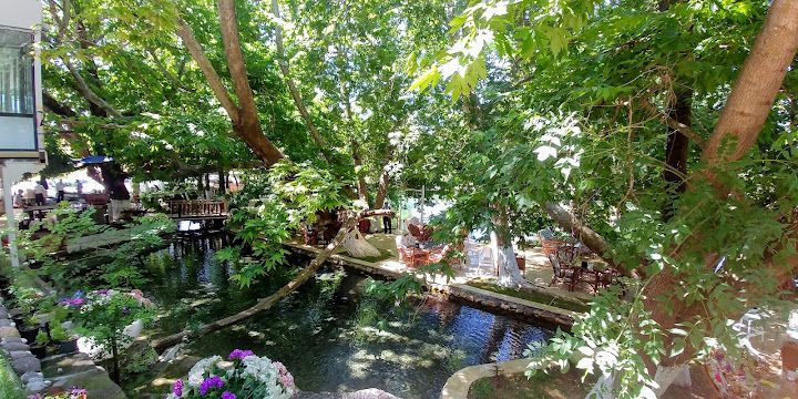 Fotoğraf 27