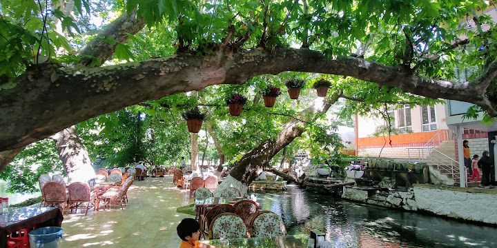 Fotoğraf 29