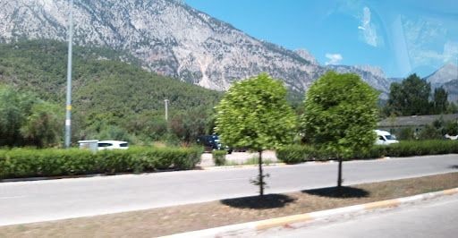 Yorum fotoğrafı 9