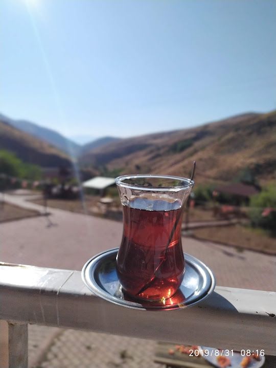 Fotoğraf 17
