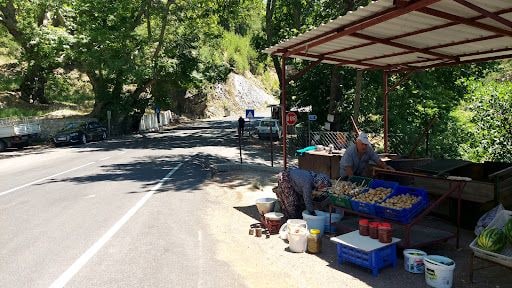 Yorum fotoğrafı 4