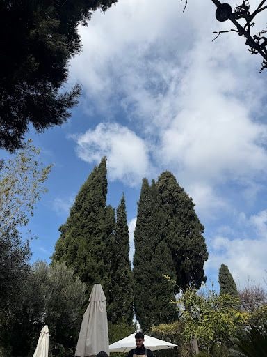 Fotoğraf 15