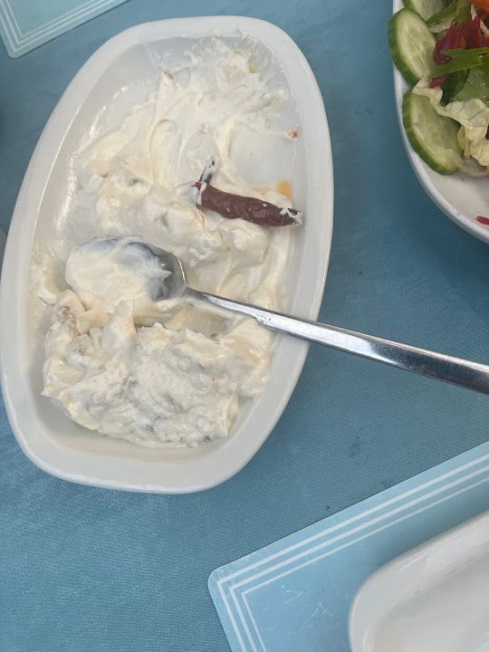Fotoğraf 19