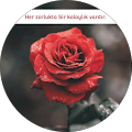 kübra