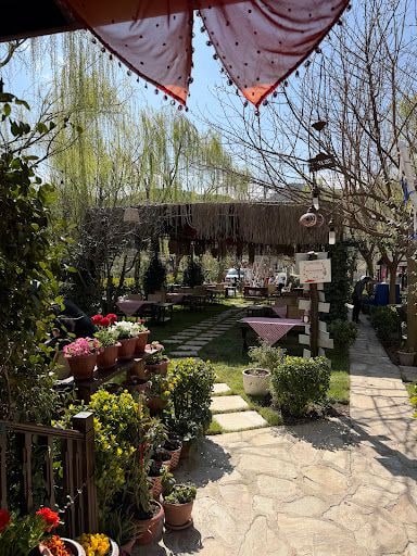 Fotoğraf 14