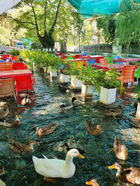 Fotoğraf 57