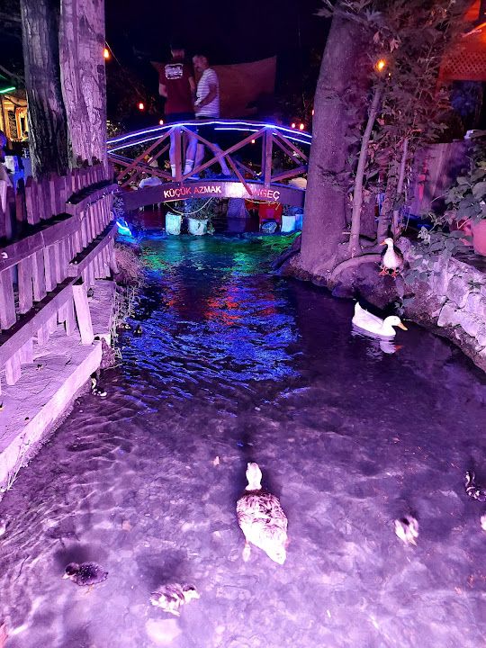 Yorum fotoğrafı 2