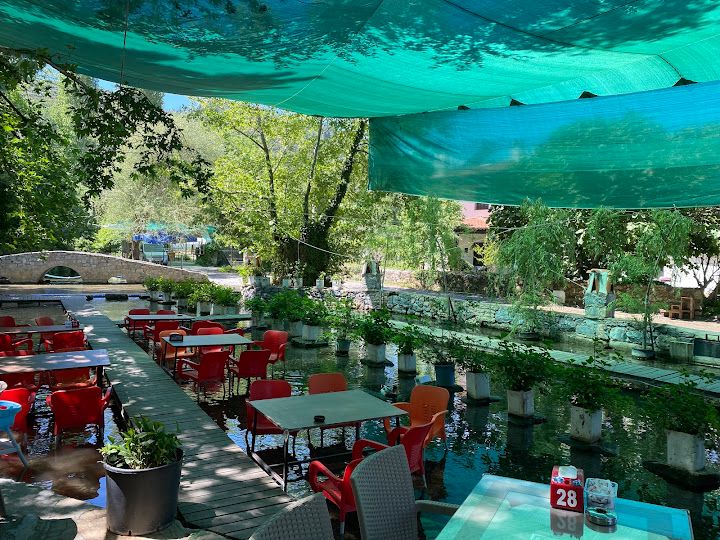 Fotoğraf 50