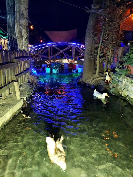 Yorum fotoğrafı 1