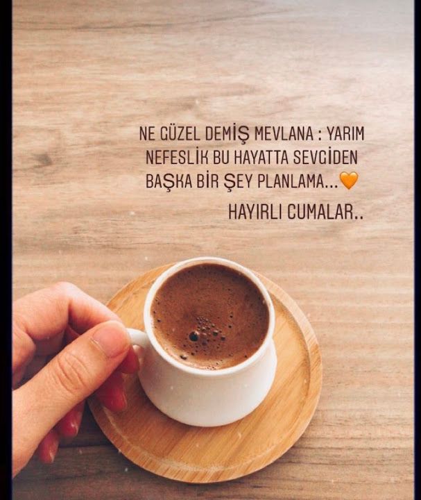 Fotoğraf 15