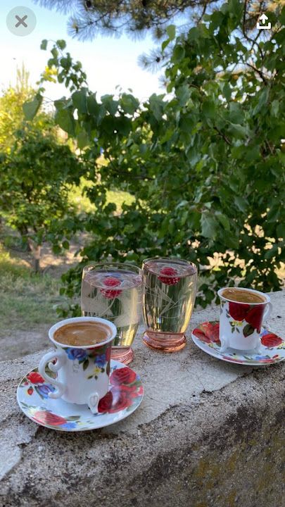 Fotoğraf 20
