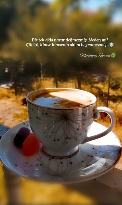 Fotoğraf 21