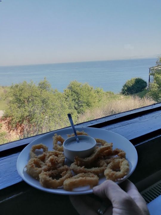 Fotoğraf 15