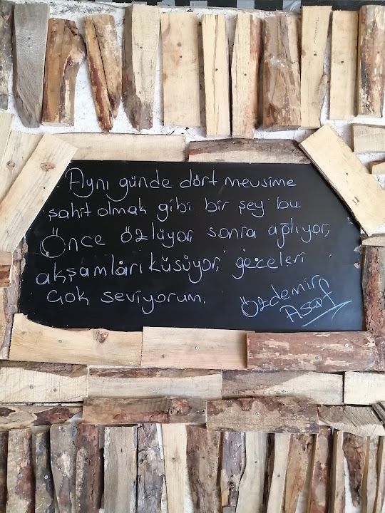 Fotoğraf 13