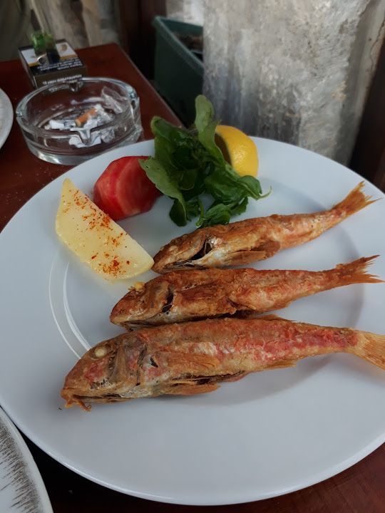 Fotoğraf 26