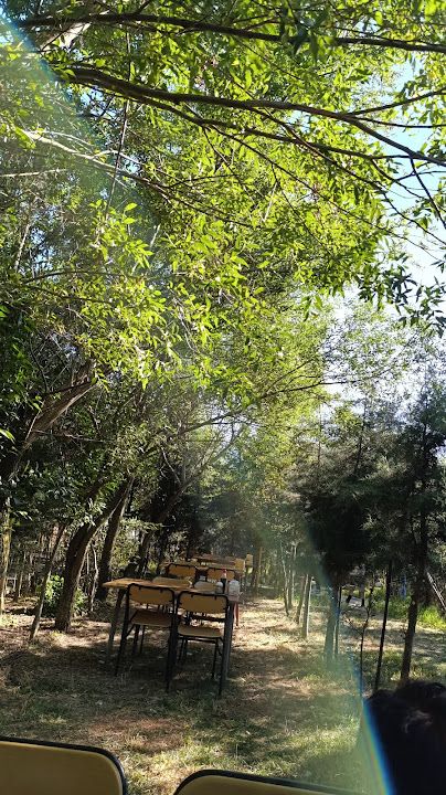 Yorum fotoğrafı 4