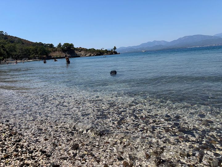 Yorum fotoğrafı 4