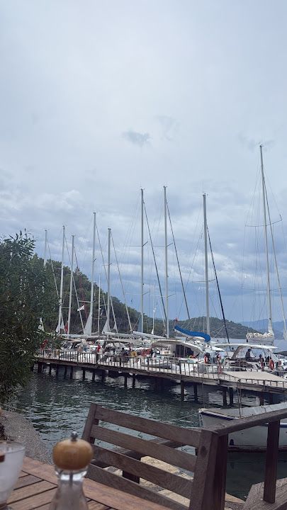 Fotoğraf 31