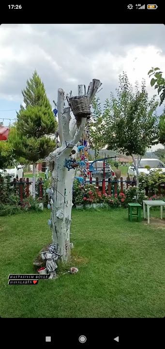 Fotoğraf 55