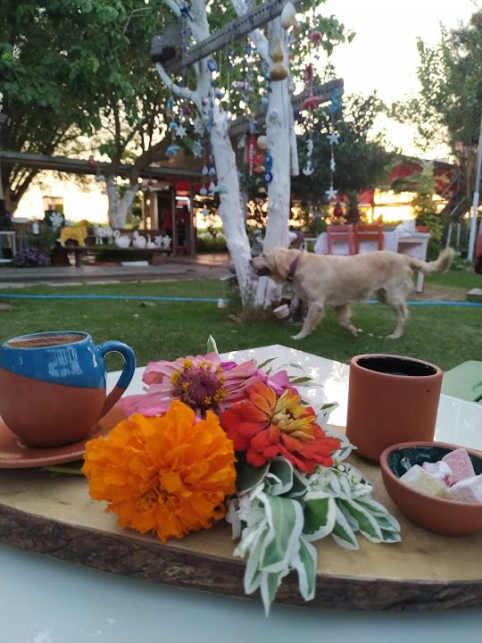 Fotoğraf 56