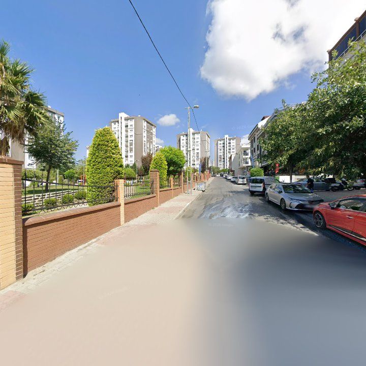 Fotoğraf 12