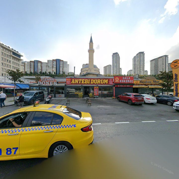 Fotoğraf 7