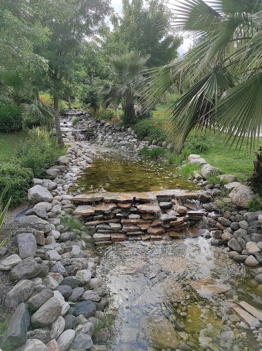 Fotoğraf 65
