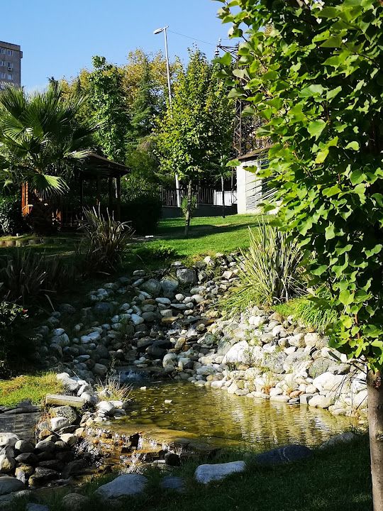 Fotoğraf 75