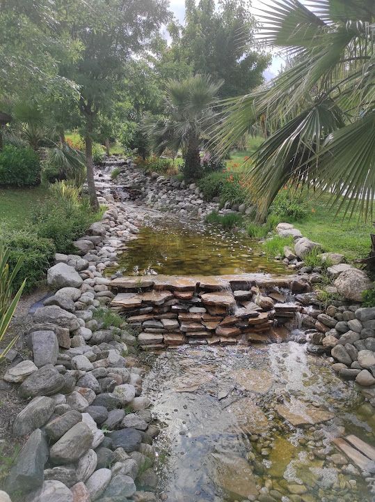 Fotoğraf 63