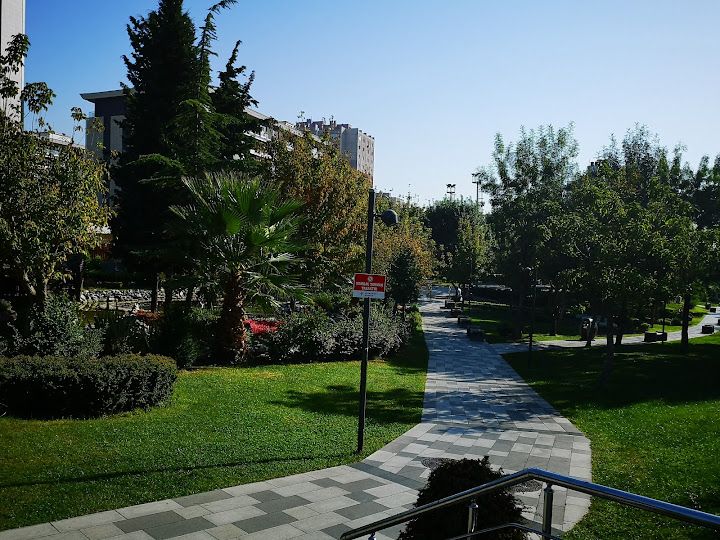 Fotoğraf 72