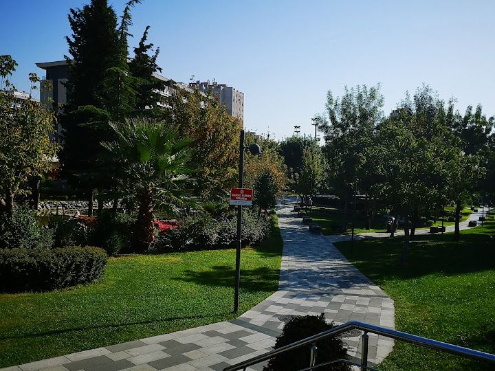Fotoğraf 74