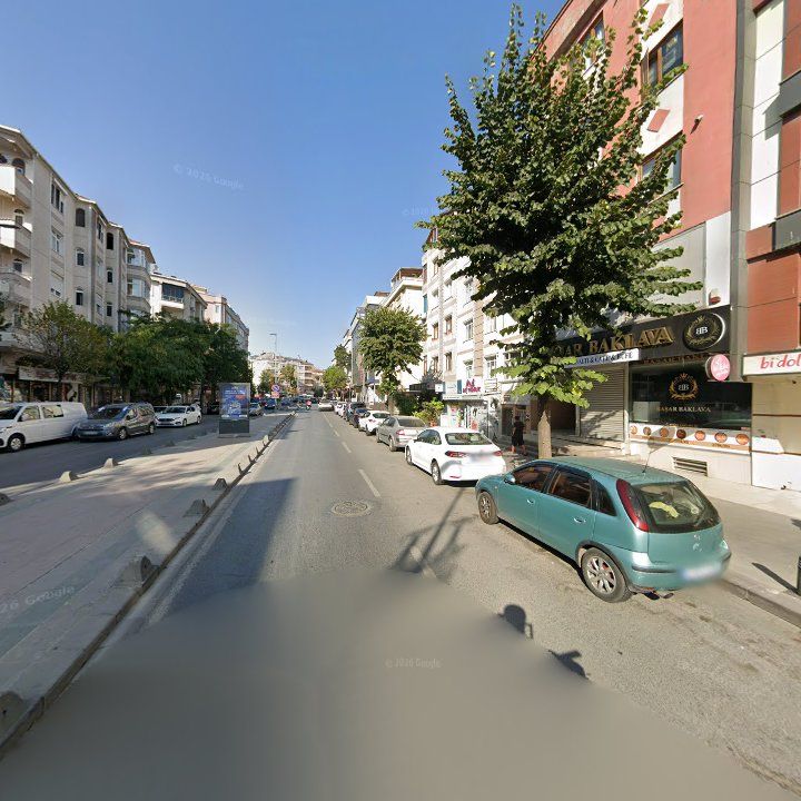 Fotoğraf 10