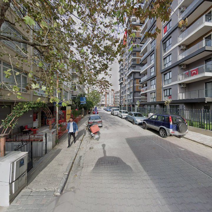 Fotoğraf 10