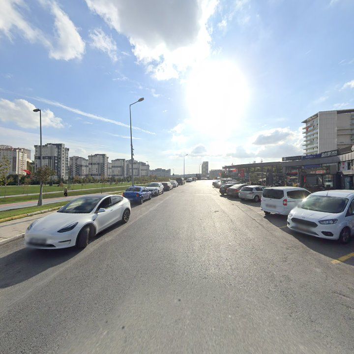 Fotoğraf 10