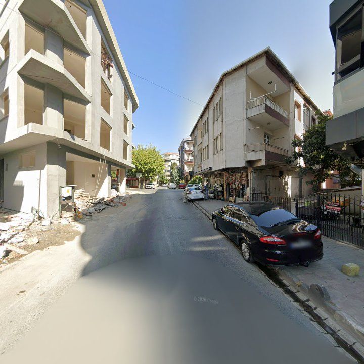 Fotoğraf 13