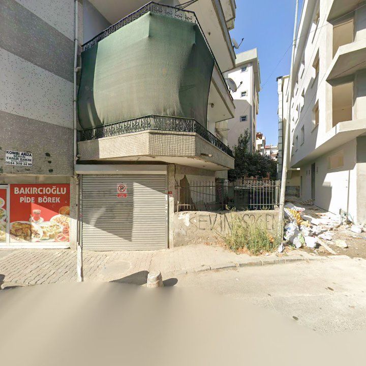 Fotoğraf 12