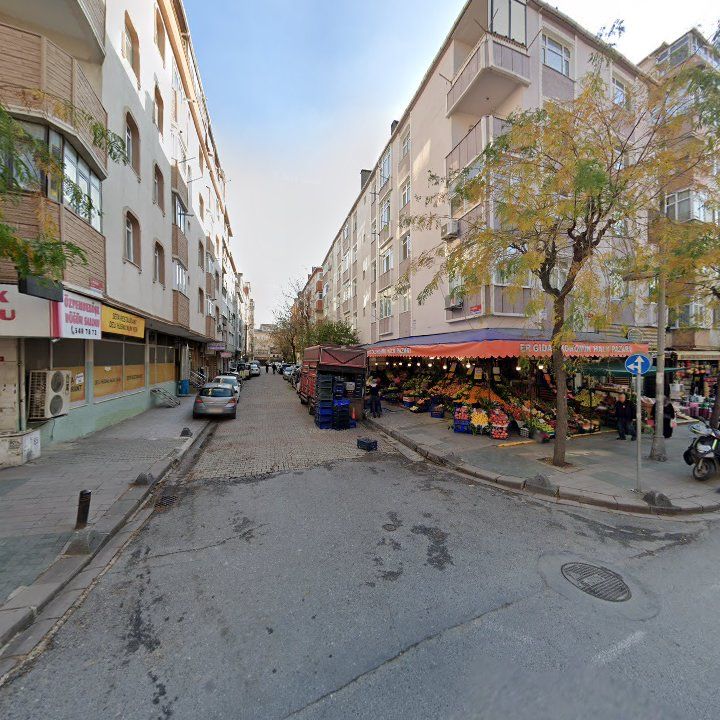 Fotoğraf 13
