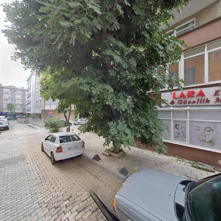 Fotoğraf 10