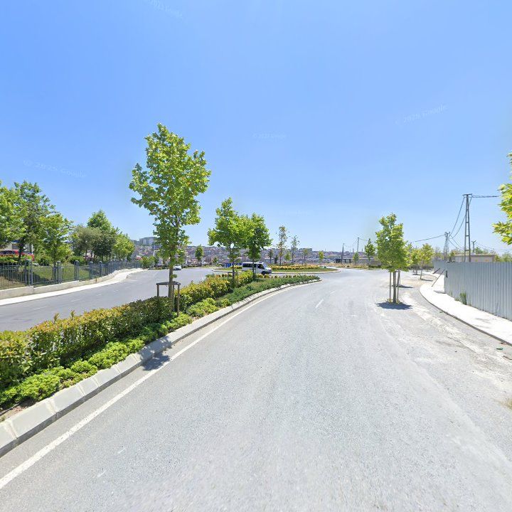 Fotoğraf 11