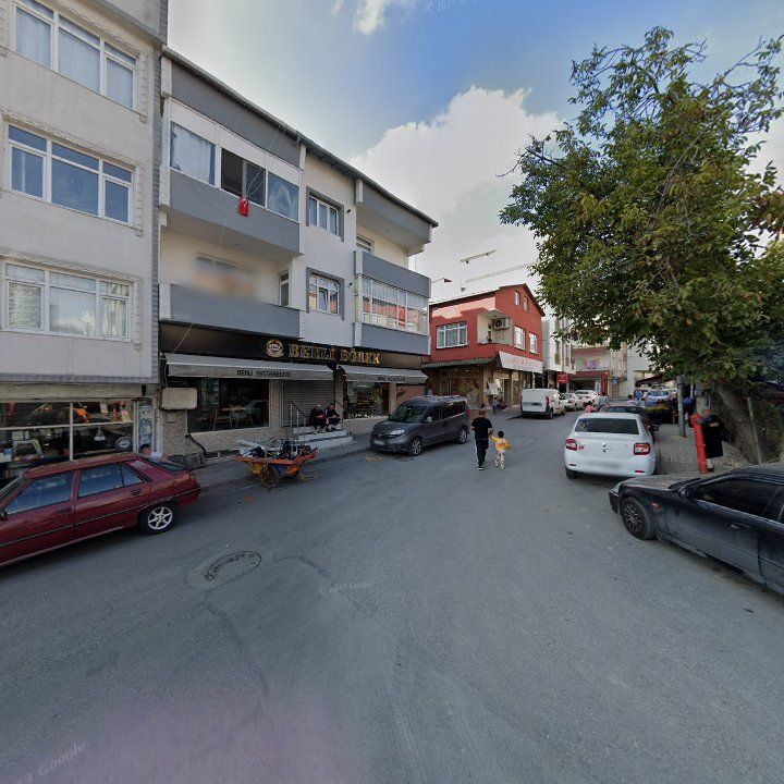 Fotoğraf 8