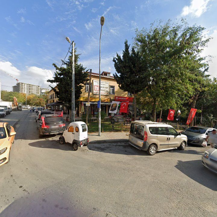 Fotoğraf 10