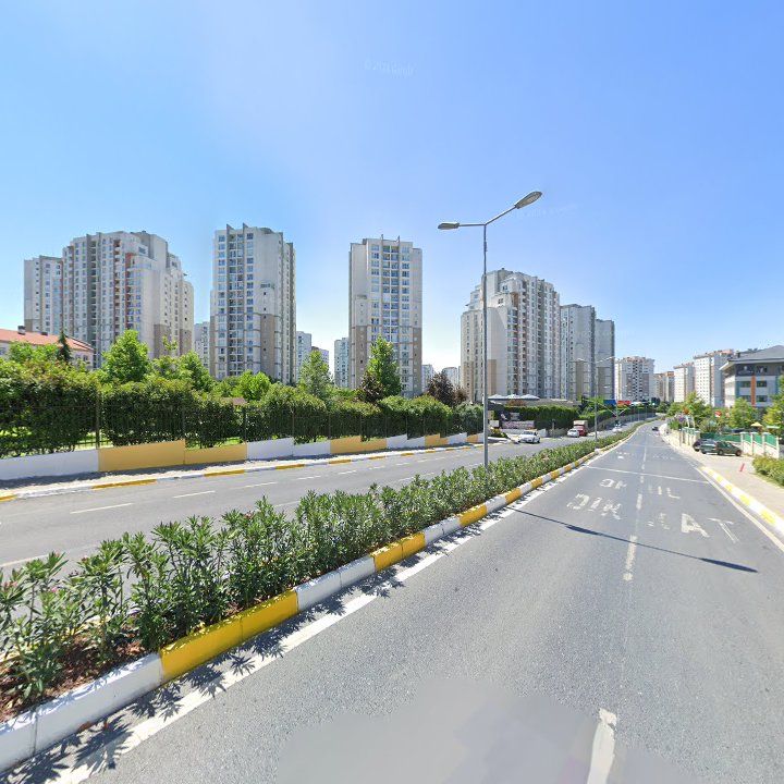 Fotoğraf 12